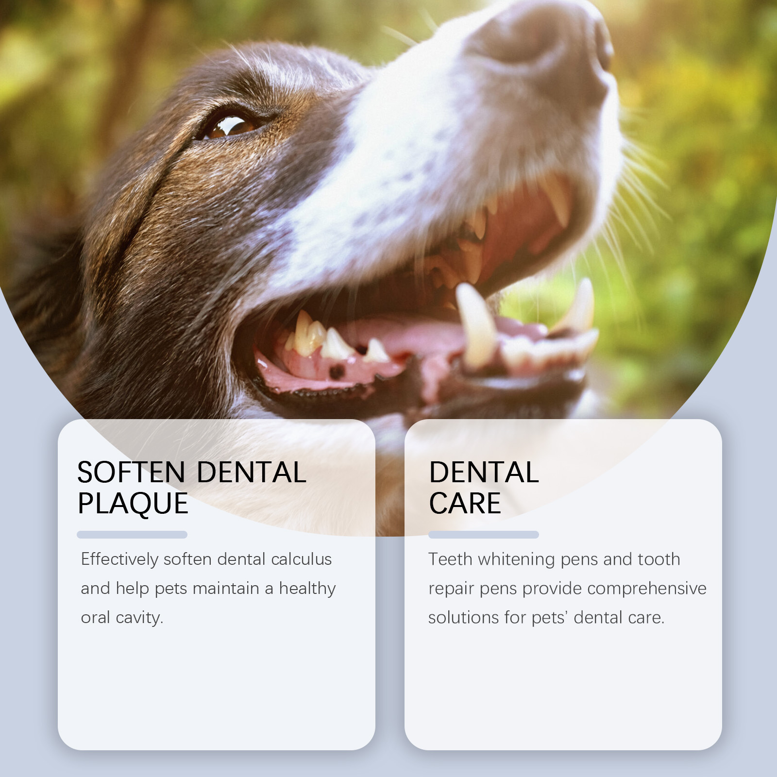 Pet Teeth Whitening Pen Set fo - огляд і ціна Teeth Whitening Pens